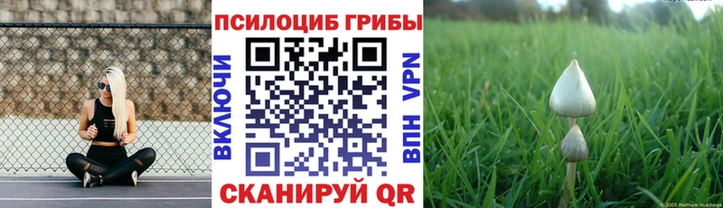 Псилоцибиновые грибы прущие грибы  цены   Балабаново 