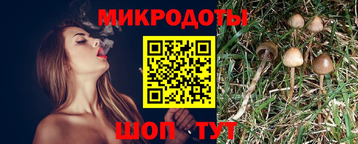Балабаново  где продают наркотики  Вход с VPN  Галлюциногенные грибы Psilocybine cubensis  Псилоцибиновые грибы MAGIC MUSHROOMS 